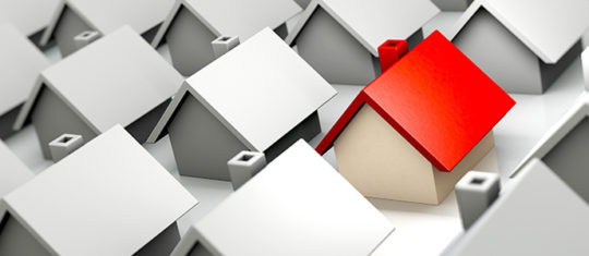immobilier